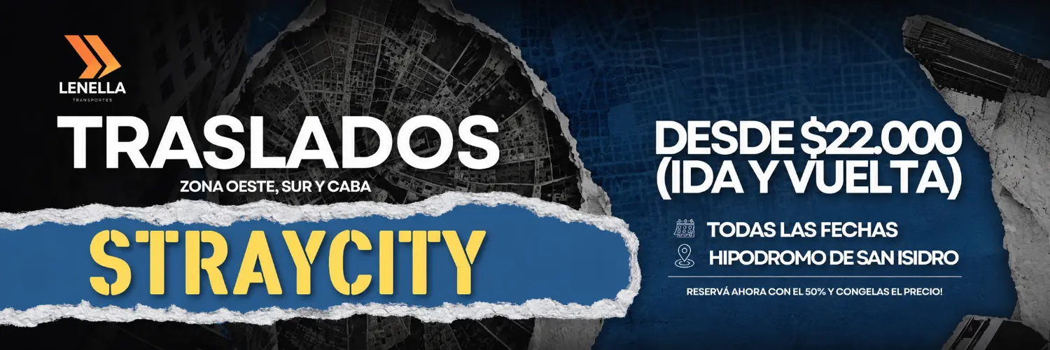 straycity